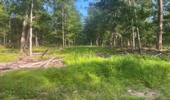 242 Brush Mountain Rd, Altoona, PA 16601