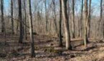 Whiskey Creek Lane, Batesville, AR 72501