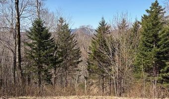 0 Walker Hill Rd, Bridgewater, VT 05034