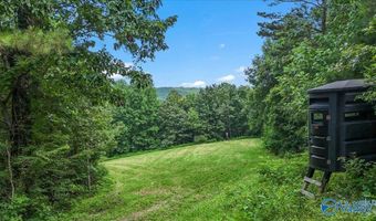 Unit # 0 Murphree Valley Road, Altoona, AL 35952