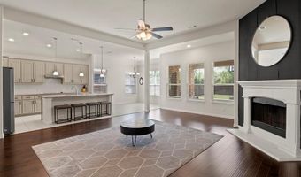 3213 Greymoore Dr, Anna, TX 75409