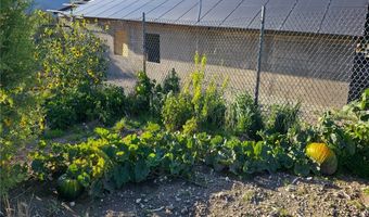 Bugling Bull Road, Cold Creek, NV 89124