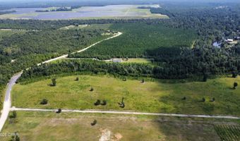 Bailey Cemetery Road, Altha, FL 32421