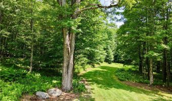 253 Davis Hollow Rd, Andes, NY 13731