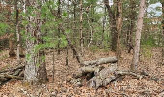 Dyke Avenue lot 8, Adams, WI 53910