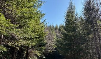 Steer Creek Rd, Blodgett, OR 97326
