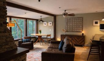 409 Park Cir 2, Aspen, CO 81611
