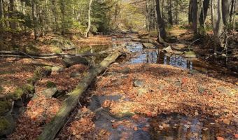 Rand Hill Road, Altona, NY 12910