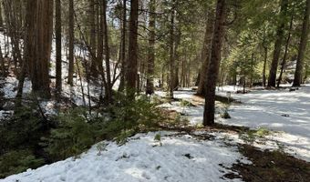 1968 Flamingo Way, Arnold, CA 95223