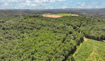 212 Brans Chapel Rd, Attalla, AL 35954