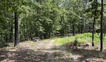 16949 Us 160, Alton, MO 65606