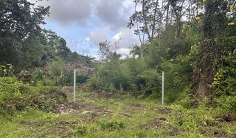 RAILRD RD, Keaau, HI 96749
