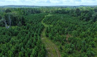 County Road 25, Banks, AL 36005