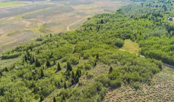 TRACT 14 SPRING HOLLOW ROAD, Daniel, WY 83115