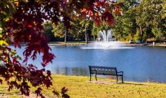 290 Blue Butterfly Dr, Angier, NC 27501