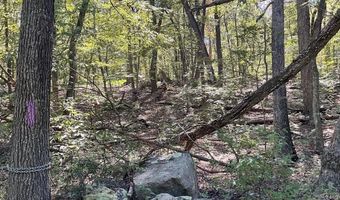 624 MOUNTAIN LION Ln, Augusta, WV 26704