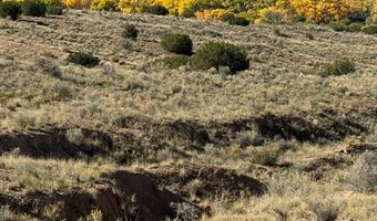 DUANE Street, Abiquiu, NM 87510