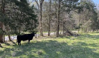 Wells Landing Road, Albany, KY 42602