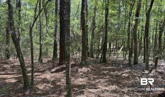 Ronald Sanks Road, Bay Minette, AL 36507