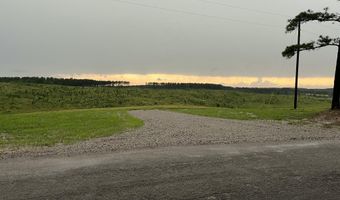 0 Otis Paine Rd, Bethel Springs, TN 38315