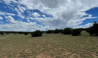 00 TBD, Concho, AZ 85924