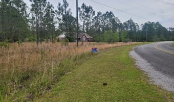 00 LAKERIDGE Dr, Baxley, GA 31513