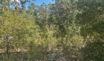 Nezperce Drive, Alford, FL 32420