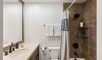 104 W Cooper Ave 1A, Aspen, CO 81611