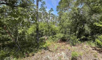 Holly Springs Avenue, Alford, FL 32420