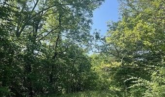 Co Rd 304, Ava, MO 65608