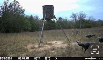 Lake OZZIE COBB 102-B, Antlers, OK 74523