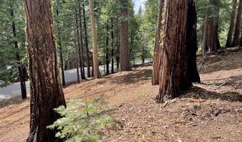 5175 Hokan Cir, Camp Connell, CA 95223