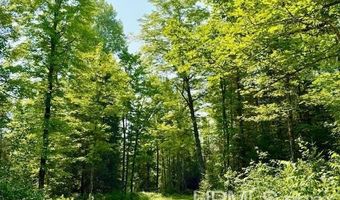TBD Net River, Amasa, MI 49903