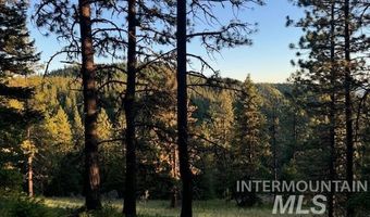 120 Acres Anatone, Anatone, WA 99401