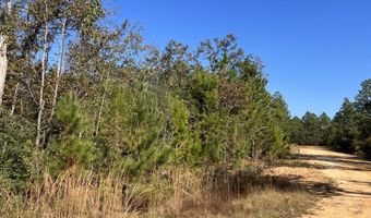 LOT 9 Arches Cir, Alford, FL 32420