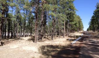 8 B County Road 2267 Escudilla Rd, Alpine, AZ 85920