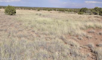 10 N9228, Concho, AZ 85924
