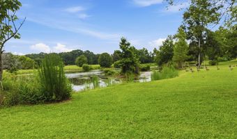 208 Thornberry, Ashford, AL 36312