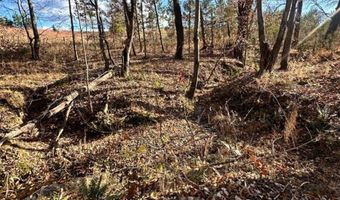 0 Lot 2B Police Tower Rd Lot 2B, Appomattox, VA 24522