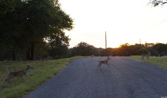 534 Whitetail Dr, Adkins, TX 78101