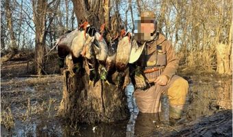 3300 Sheppard Island Rd, Altheimer, AR 72004