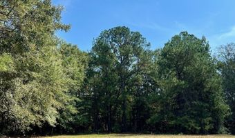 3067 Sr 18, West Point, GA 31833