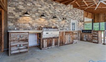 545 Pan Creek Rd, Baileyton, AL 35019
