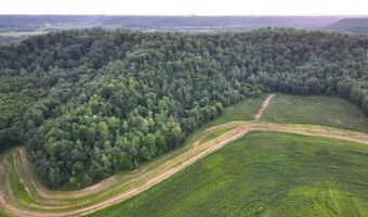 TBD Bear Pen Rd, Arkansaw, WI 54721