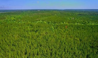 0 Pebble Cove Rd, Abbeville, AL 36310