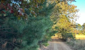 421041 E 1945 Ln, Antlers, OK 74523