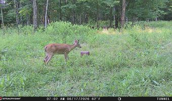 1271 A Tunnel Ridge Rd, Argillite, KY 41121