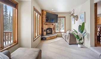 234 PETERSON Dr, Alma, CO 80440