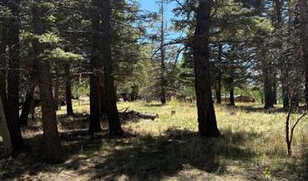 Spanish Peaks Dr, Aguilar, CO 81020