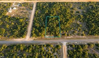 02-2 N 11-0083-00P0-0310 Fairview Rd, Alford, FL 32420